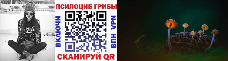 Галлюциногенные грибы мухоморы  Купить закладки  Кострома 