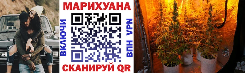 Купить  Кострома  Конопля MAZAR 